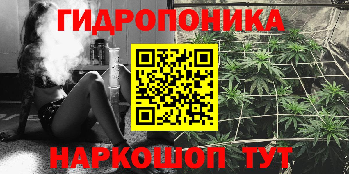 Бошки марихуана ГИДРОПОН Советск